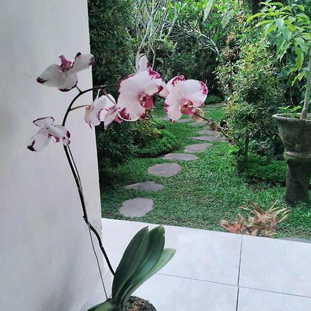 Cucu House Apartment Ubud  Bagian luar foto
