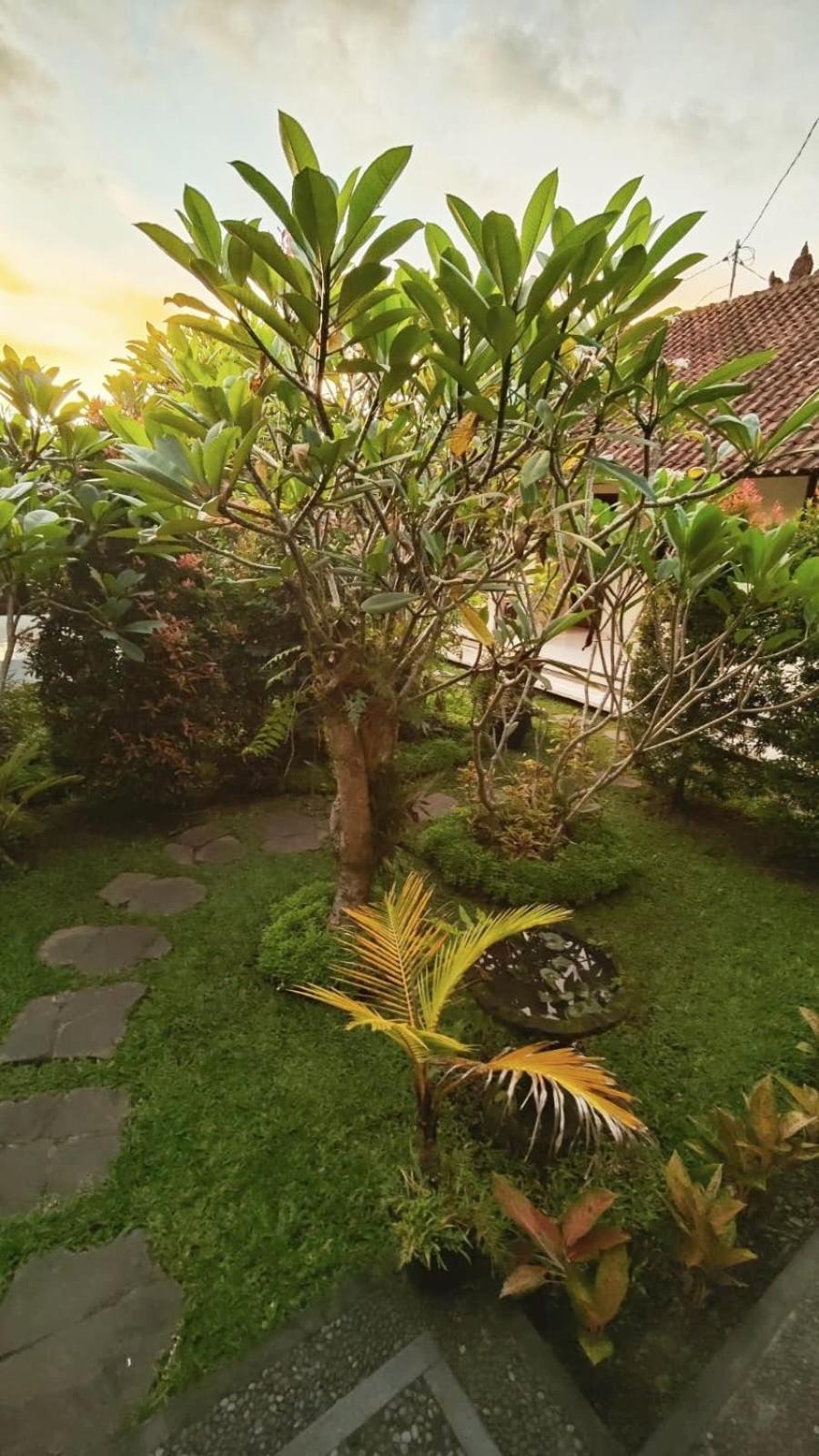 Cucu House Apartment Ubud  Bagian luar foto