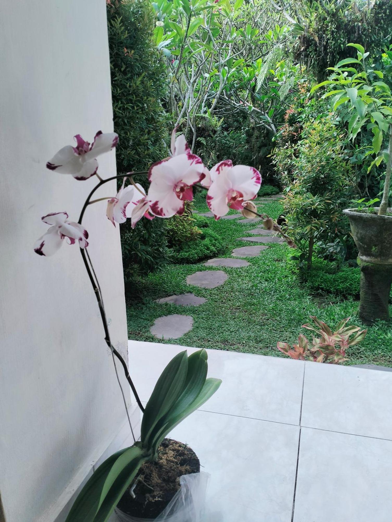 Cucu House Apartment Ubud  Bagian luar foto